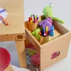 ORGANIZADOR (con rueditas)