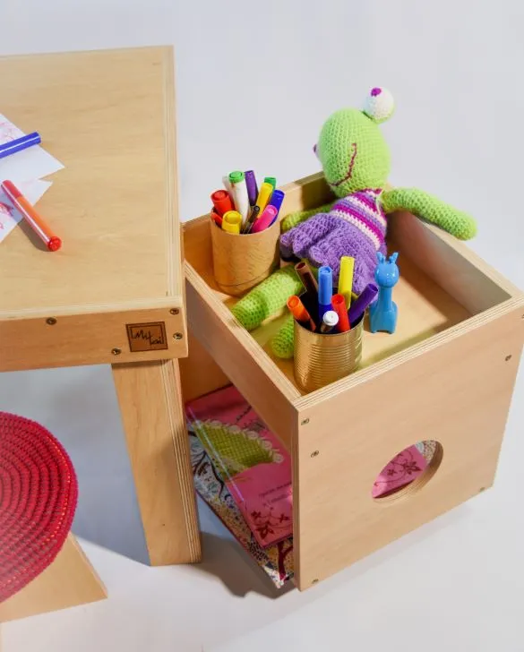 ORGANIZADOR (con rueditas)
