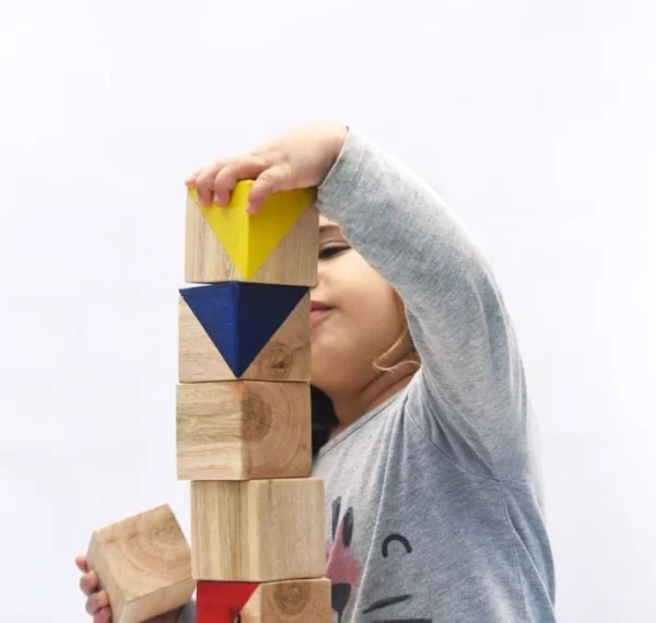 CUBOS CONSTRUCTORES (9p - gdes)